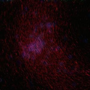 国产一区二区精品
